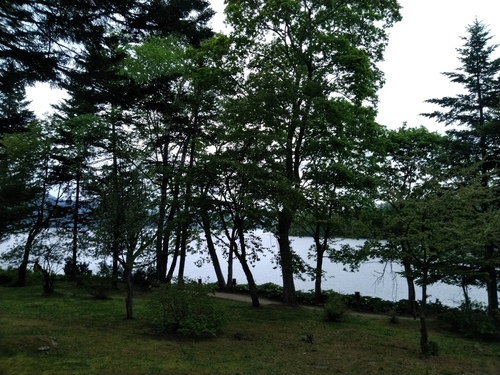P_20230528_164256.jpg