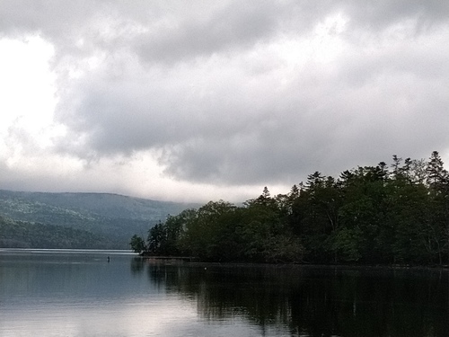 P_20230529_071828.jpg