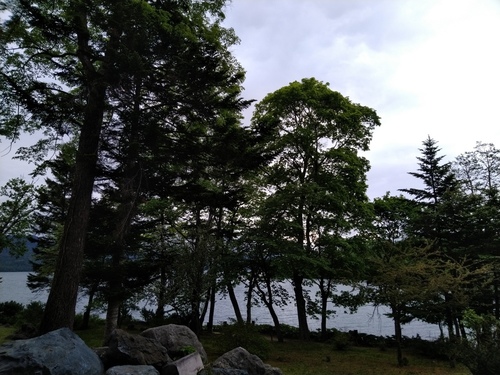 P_20230529_164403.jpg