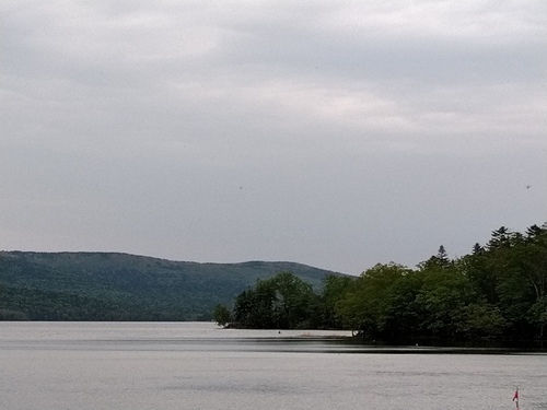 P_20230602_054754.jpg