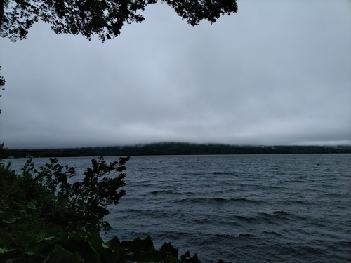 P_20230603_070903.jpg